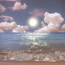 Ảnh đại diện người dùng Thu Hà